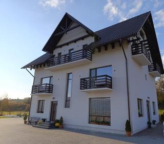Vila President Sovata - Sovata - 8