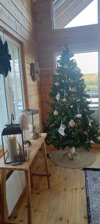 Villa Joutti - Rovaniemi - 6