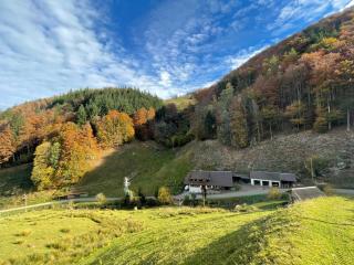 Bauernhaus im Münstertal - Münstertal - 5