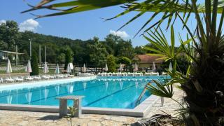 Forest Camp - Despotovac - 9