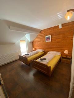 Forest Camp - Despotovac - 4