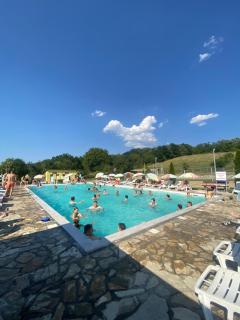 Forest Camp - Despotovac - 7