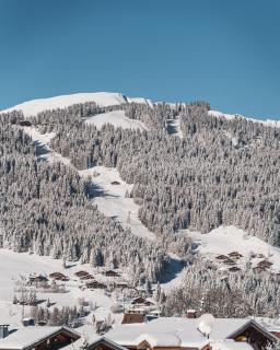 Coeur de Megève - 6