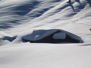 Hagauhof - Kirchberg in Tirol - 4