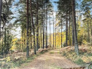 Holiday home Fengersfors IV - Fengersfors - 6