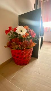 Casa Colore - Bolonia - 5