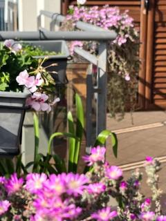 Agaphouse Mylae - Milazzo - 6