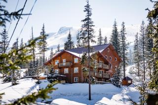 Alpin Eco Chalet & Wellness - 0