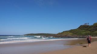 Bundle Hill Cottages - Bawley Point - 1