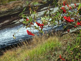 Holiday home lyngdal XII - Lyngdal - 2