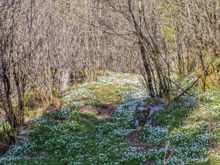 7 person holiday home in lyngdal - 8