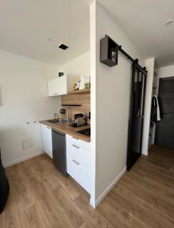 Studio rénové en plein centre ville, sur le port, vue mer - La Grande-Motte - 1