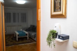 Apartment "Vilsonovo" free parking - Sarajevo - 9