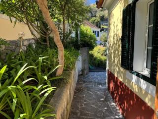 Quinta das Hortênsias - 5
