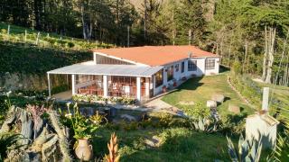 Pinares del Carrizalito - El Cocuy - 7