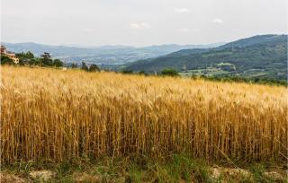 Amazing Home In Nocera Umbra With Wifi - 2