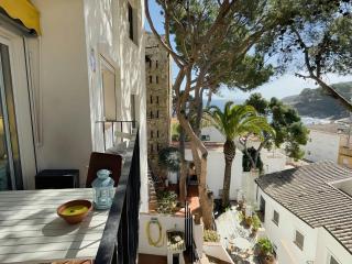 Tamariu Roca Rubia 1- Very cozy, terrace and balcony with stunning views - Tamariu - 9