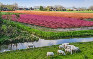 Lovely Home In Wijdenes With Wifi - Wijdenes - 4