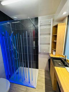 Le Superbe Thillois Hypercentre Sensationnel - Reims - 1