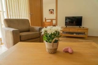Andrea 3 by SMR Luxury Apartments inc Spa and near Gondola - Rauris - 8