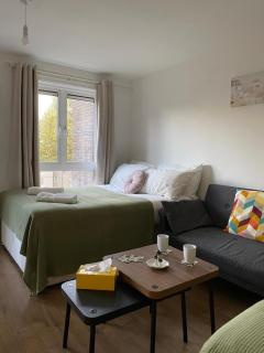 Modern Entire Apartment in Kings Cross St Pancras - Londra - 8