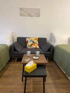 Modern Entire Apartment in Kings Cross St Pancras - Londra - 6