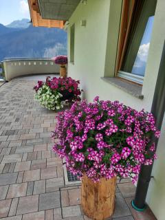 Appartamento l’ Aier - Arabba - Dolomiti - Livinallongo del Col di Lana - 2