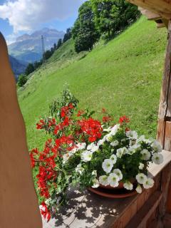 Appartamento l’ Aier - Arabba - Dolomiti - Livinallongo del Col di Lana - 6