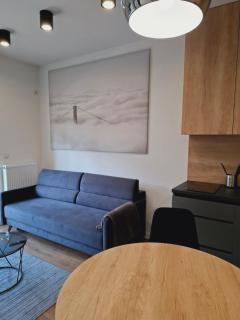 Apartament EXPO z Wanną, Nowa Sukcesja, Bezpłatny Parking przy ulicy w nocy oraz weekend - Łódź - 2