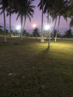 Casa pé na areia na praia de Antunes em Maragogi - 6