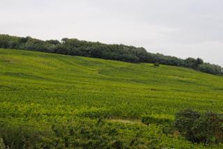 Gîte Binnert Bader - 4