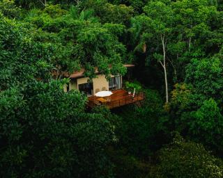 Maze Lodge - Puerto Jiménez - 0