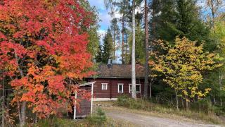 Cottage Petra in Koli - Kolinkylä - 9
