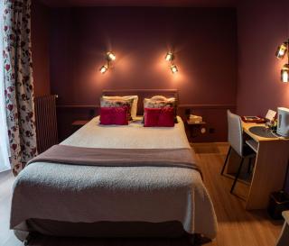 HOTEL DES DAUPHINS - 5
