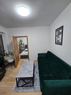 City apartment with moutain view - free parking - 3