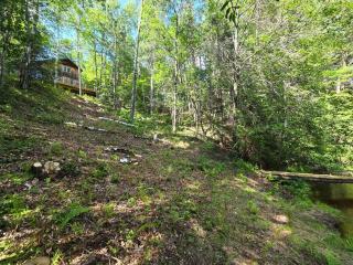 Riverview Ridge on the Iron River - 2