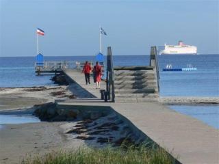 Stein am Ostseestrand bei Laboe mit Hund - Stein - 2