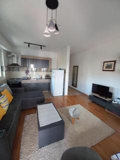 Apartment in Skopje City Center - 2