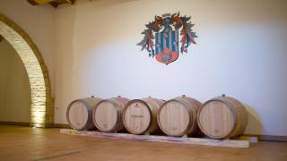 Cantina D'Erasmo - Camere e Degustazioni - Offida - 8