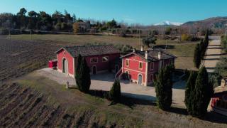 Cantina D'Erasmo - Camere e Degustazioni - Offida - 0
