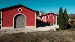 Cantina D'Erasmo - Camere e Degustazioni - Offida - 1