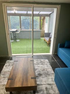 SPA hyper centre avec jardin - Boulogne-sur-Mer - 1