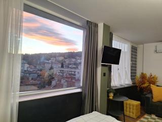 Студио Даневски-Balkan Tower - 1