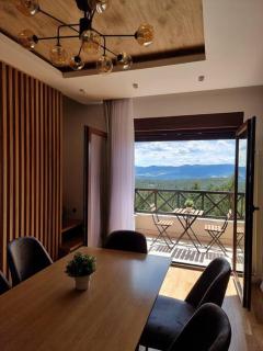 Tara apartmani 4 - Bajina Bašta - 9