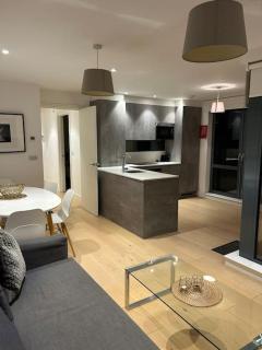 Stylish Penthouse Central London-Zone 1 - Londra - 8