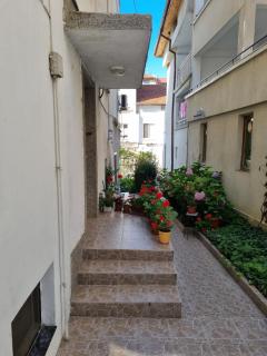 Stoyan Guest house - Primorsko - 4