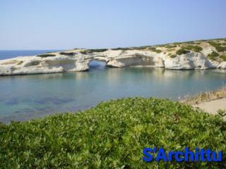 Summer House - Torre Grande - 9
