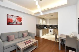 Classic style 1 bedroom Buzand 17 building - Erevan - 7