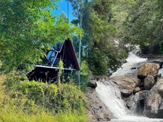 Wetlands Wayanad Pool Resort with Natural Waterfalls - Padinjarathara - 0