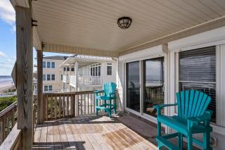 Parrotise - Surf City - 3
